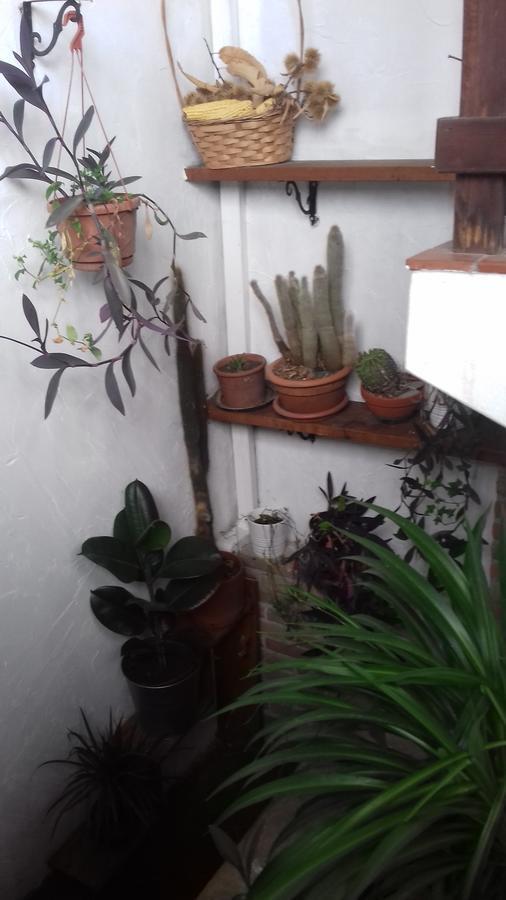 Osteria Alle Risorgive Codroipo Bagian luar foto